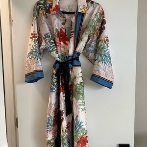 Beautiful Zara Dress OR kimono